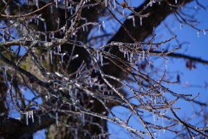 Mosher reveals the beauty of frigid Wisconsin winters in this close-up featuring unique icicle formations.