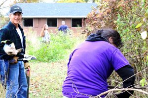 Winnebago Audubon member Dave Moon overlooks UWO freshman Mary Soto as she removes invasive trees from the Sullivan Woods. Soto was there as part of Hands on Oshkosh.