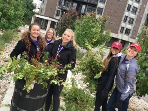 A group of volunteers pick up tree clippings and brush during Hands on Oshkosh. Over 250 UWO students showed up to lend a hand to various organizations and businesses around Oshkosh as part of the 18th semi-annual event on Saturday.