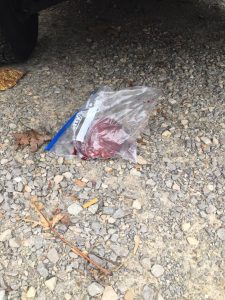 A heart in a bag sits under a vehicle on Franklin Street. Residents of the house found it after their home was burglarized.