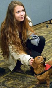 A student plays with a small dachshund.