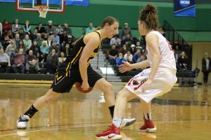 Taylor Schmidt looks to cross over a WashU Bears player Friday. Schmidt scored 14 points in 32 minutes in the contest.