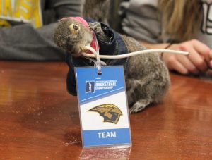 Sammy the Squirrel enjoyed visiting UW Madison and going to the Arch this weekend.