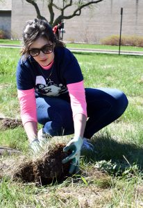 Kayla Baumann plants her prairie plant as part of Hands on Oshkosh.