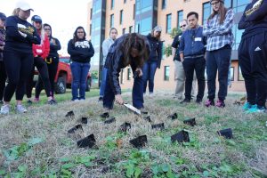 UWO Grounds and Automotive Supervisor Lisa Mick demonstrates to volunteers where to plant new plants outside of the Horizon Village. 