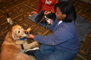 "ABOVE: Liam the therapy dog is all smiles as he helps UWO students forget their stress. LEFT: Two students hug a tiny dog. RIGHT: A student takes a photo of a golden retreiver."