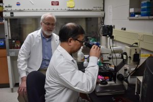 Biochemistry professor James Paulson and organic chemistry professor Linfend Xie analyze their data.