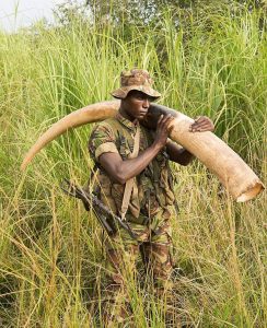 "Rangers fight to protect Africa’s elephants from ivory poachers in Garamba National Park, Congo. Rangers deploy into the park by helicopter and barge. "