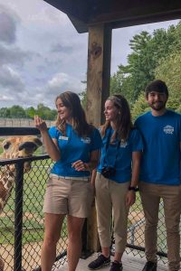 Bailey McClellan feeds a giraffe at her social media internship at the NEW ZOO.