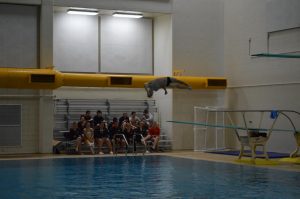 Diver Matt Wilke twists his way to a first-place finish.