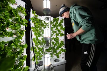 UWO student Elijah Tesch tends to the lettuce.