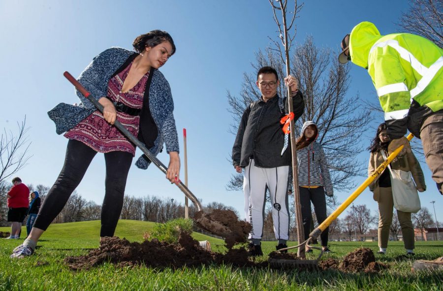 UWFDL students help plant trees.