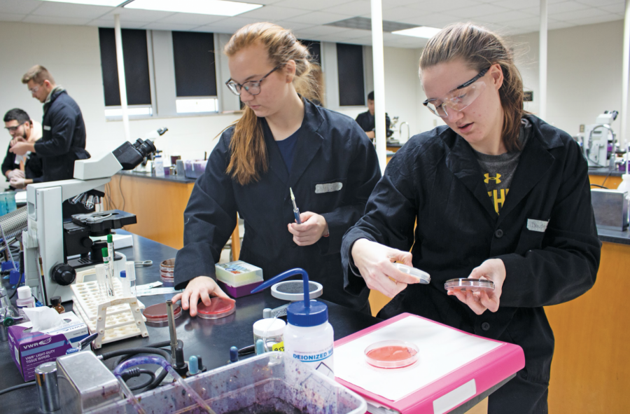 UWO bacteriology class partners with Tiny Earth