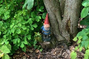 Visitors to the Paine Art Center and Gardens can search for more than 100 gnomes hidden throughout the property.