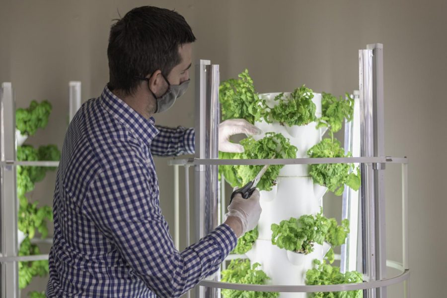 April Lee / Advance-Titan
UWO Assistant Dining Director Brian Warzynski stands next to a Tower Garden. The Harvest Room can produce 200 pounds of lettuce and 15 pounds of herbs a month.