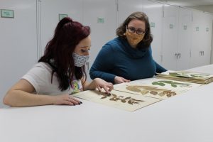  Katie Pulvermacher / Advance-Titan
Photo caption: Student assistant Catriona Ellis (left) and assistant professor Ladwig (right) pose with specimens from the 1880s.
