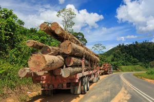 Courtesy of Wikimedia
The photo is similar to a scene in the movie where the chain breaks and the logs roll out. When most people see this on the road they change lanes to avoid disaster. 