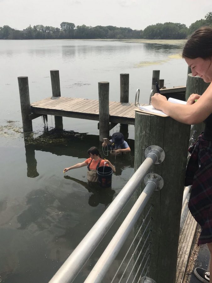 Courtesy of Shannon Davis-Foust
UWO’s Sustainability Institute for Regional Transformations has recently established the Winnebago Pool Lakes Harmful Algae Blooms
Project. This project helps the public understand how harmful the
algae blooms are