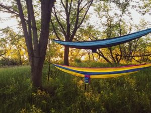 Hanging hammocks