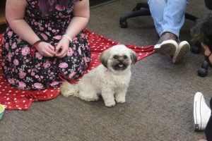 Kyra Slakes / Advance-Titan
Melanie Cross brought her recently-certified therapy dog, Tobi, to the Journalism open house. 