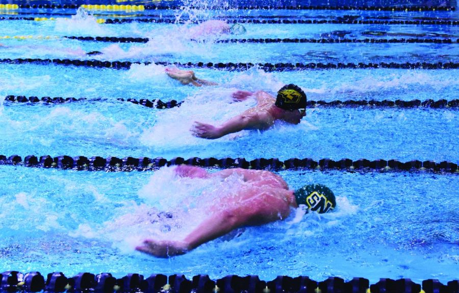 Jacob Link / the Advance-Titan -- Cade Millam swims in the men’s 200-yard Individual Medley during UWO’s 152-42 loss to St. Norbert on Nov. 19.