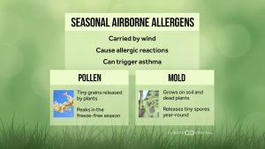 Courtesy of Climate Central - Pollen and mold, which are carried by the wind, can
cause allergic reactions and trigger asthma. As climate change brings an earlier and longer growing season for plants, people with allergies are suffering more throughout
the year.