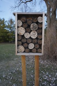 Willem Flaugher / Advance-Titan — Bee hotels on the UW Oshkosh campus provide nesting spots for native bees.