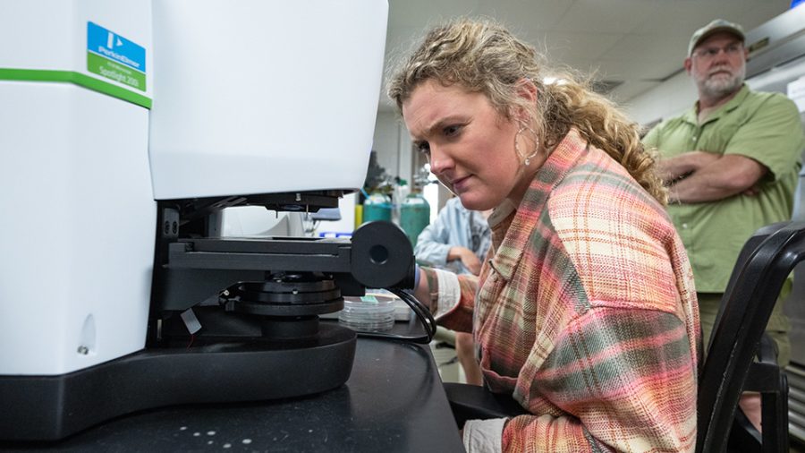 Courtesy of UWO -- New technology at a UWO lab is allowing students to study microplastics in fish and mussels, giving insight as to what impact the materials might have on the environment and ecosystem.