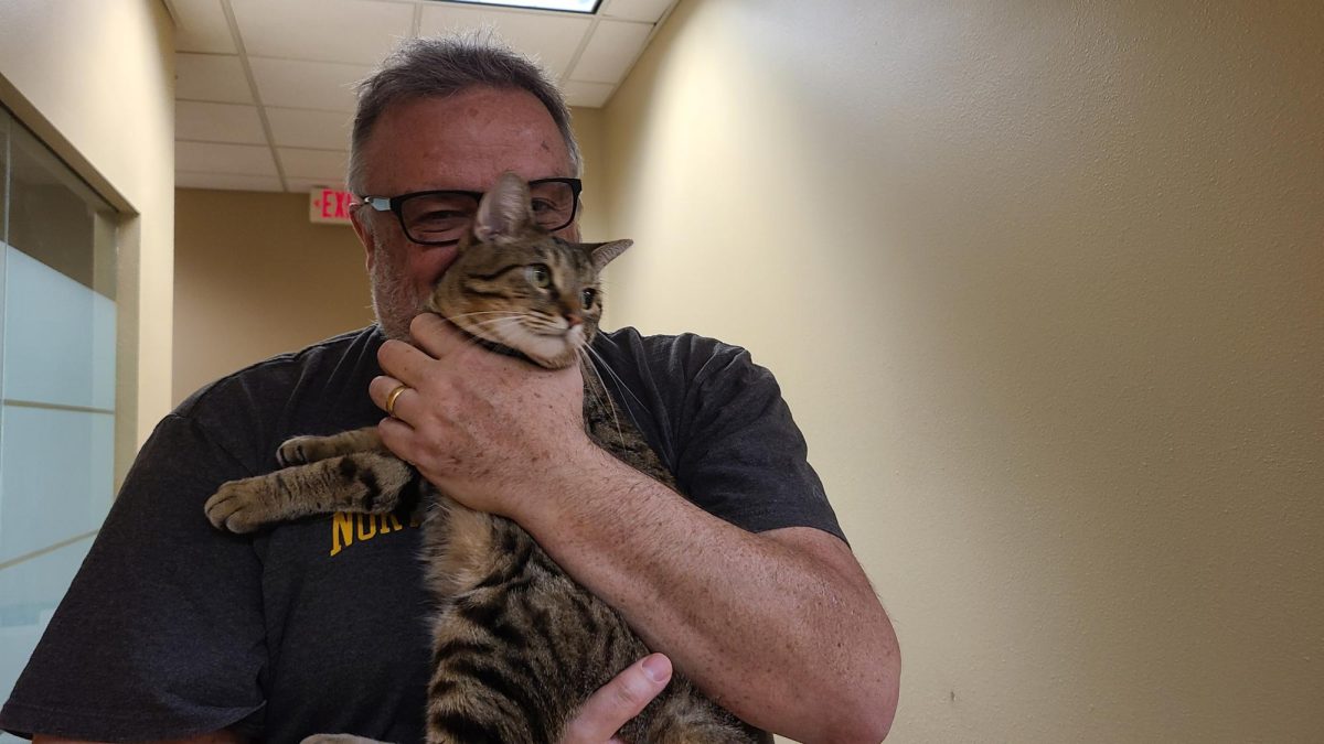 Suna Vang / Advance-Titan - Planet Perk owner Ken Osmond cuddles with one of the cats available for adoption at Planet Purrrk Club. 