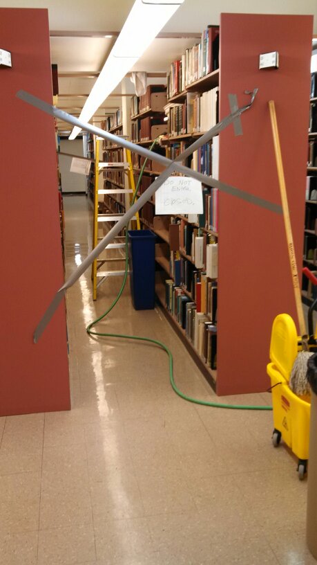 Courtesy of Polk Library
A section of books are off limits after suffering water damage in Polk in 2014.