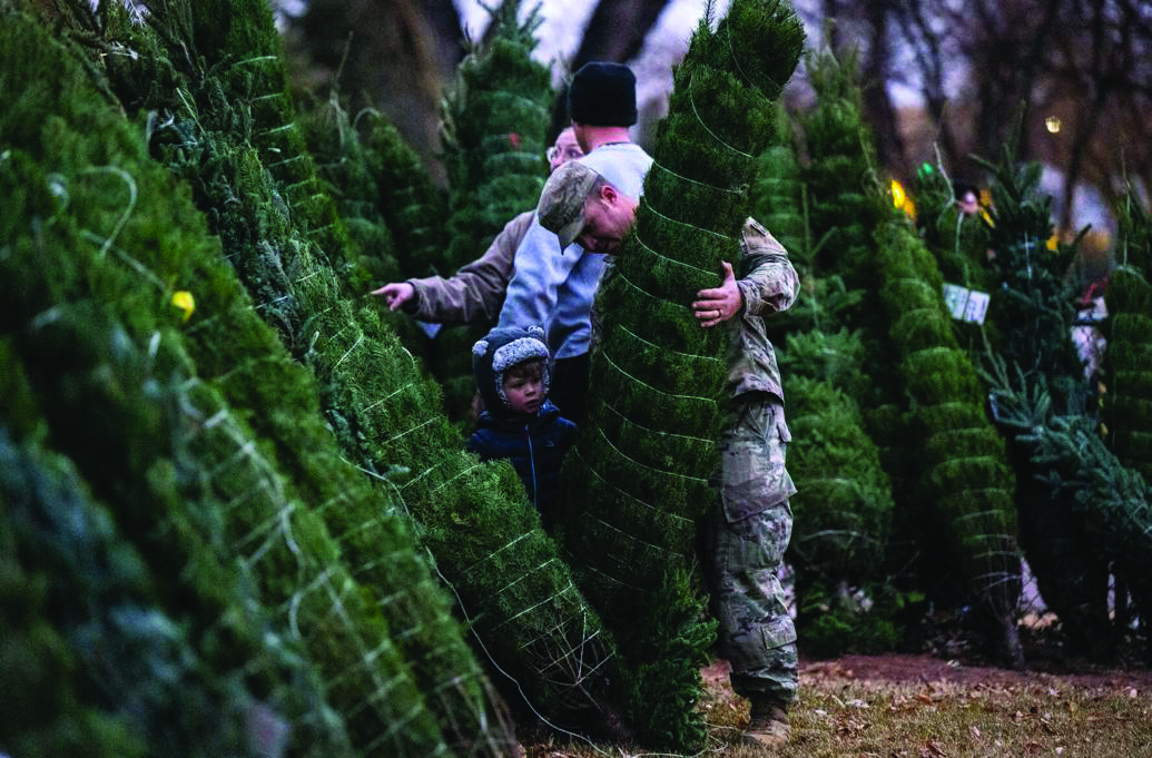 A soldier helps a young boy unload the donated trees from the FedEx semi-truck. 