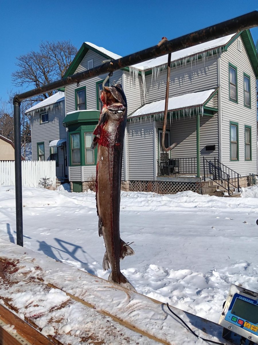 Jacob Link / Advance-Titan -- A lake sturgeon sits outside of Jerry’s Bar in Oshkosh, one of 10 DNR registering stations around the Winnebago chain of lakes.